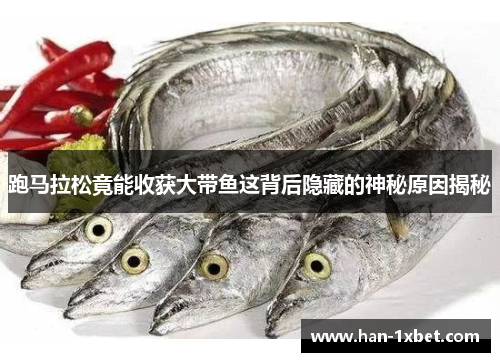 跑马拉松竟能收获大带鱼这背后隐藏的神秘原因揭秘 跑马拉松竟能收获大带鱼这背后隐藏的神秘原因揭秘