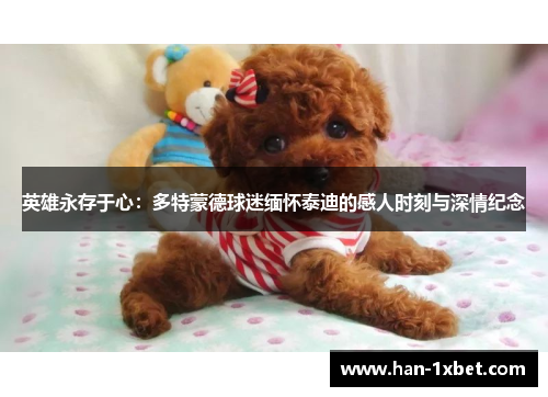 英雄永存于心：多特蒙德球迷缅怀泰迪的感人时刻与深情纪念