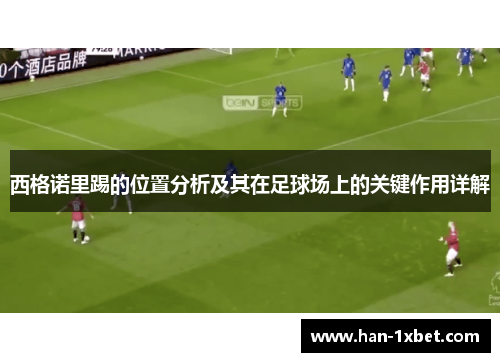 西格诺里踢的位置分析及其在足球场上的关键作用详解